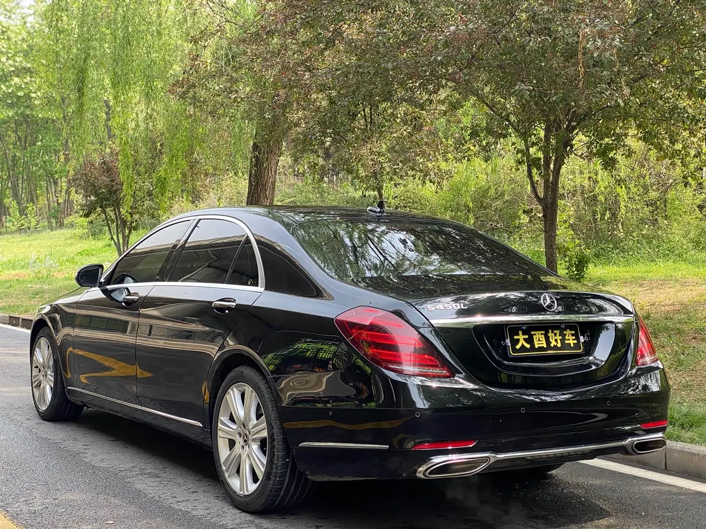 Mercedes-Benz S-Class 2019 — Photo 7/20
