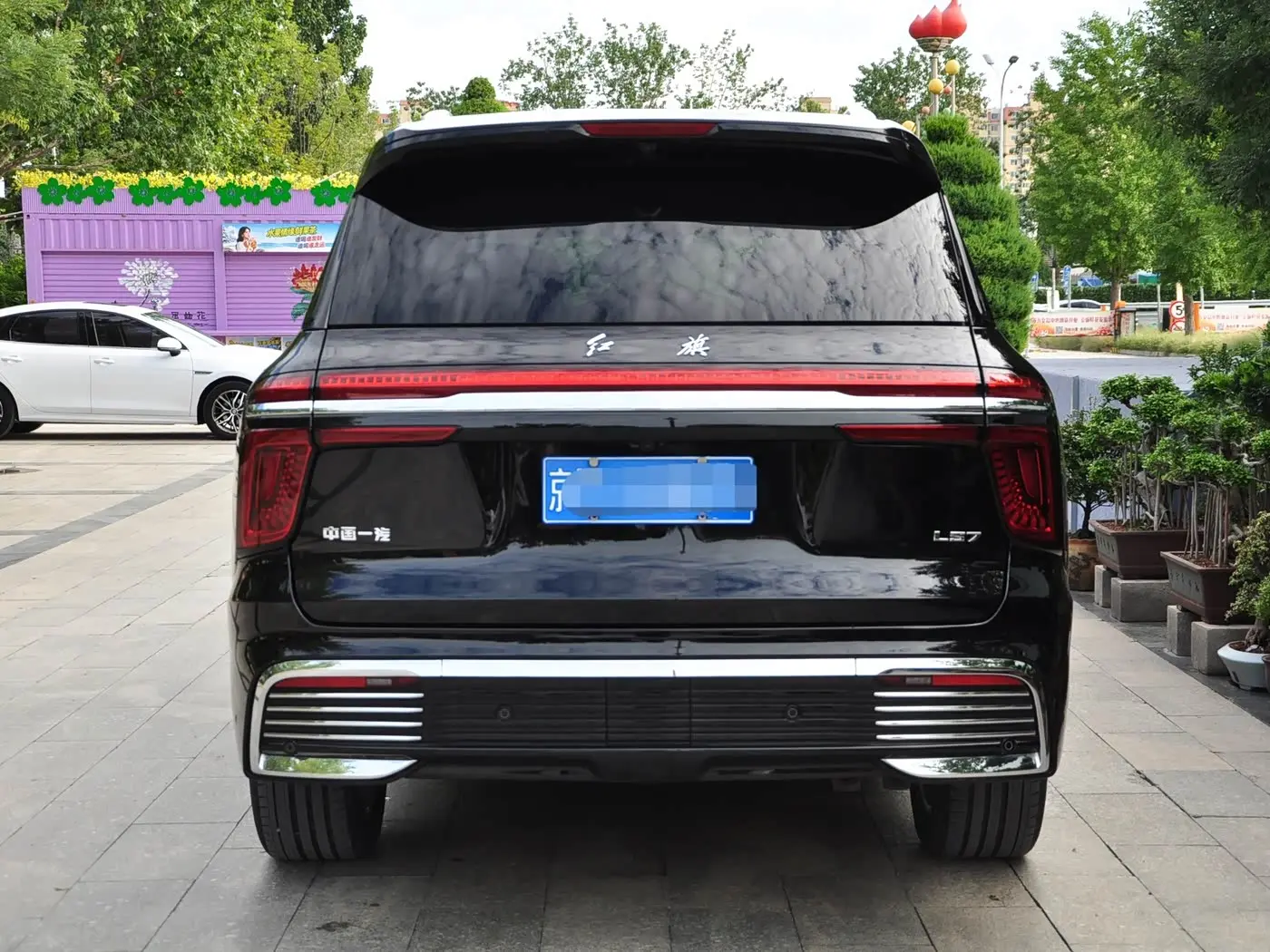 Hongqi Guoyao 2022 — Şəkil 5/18