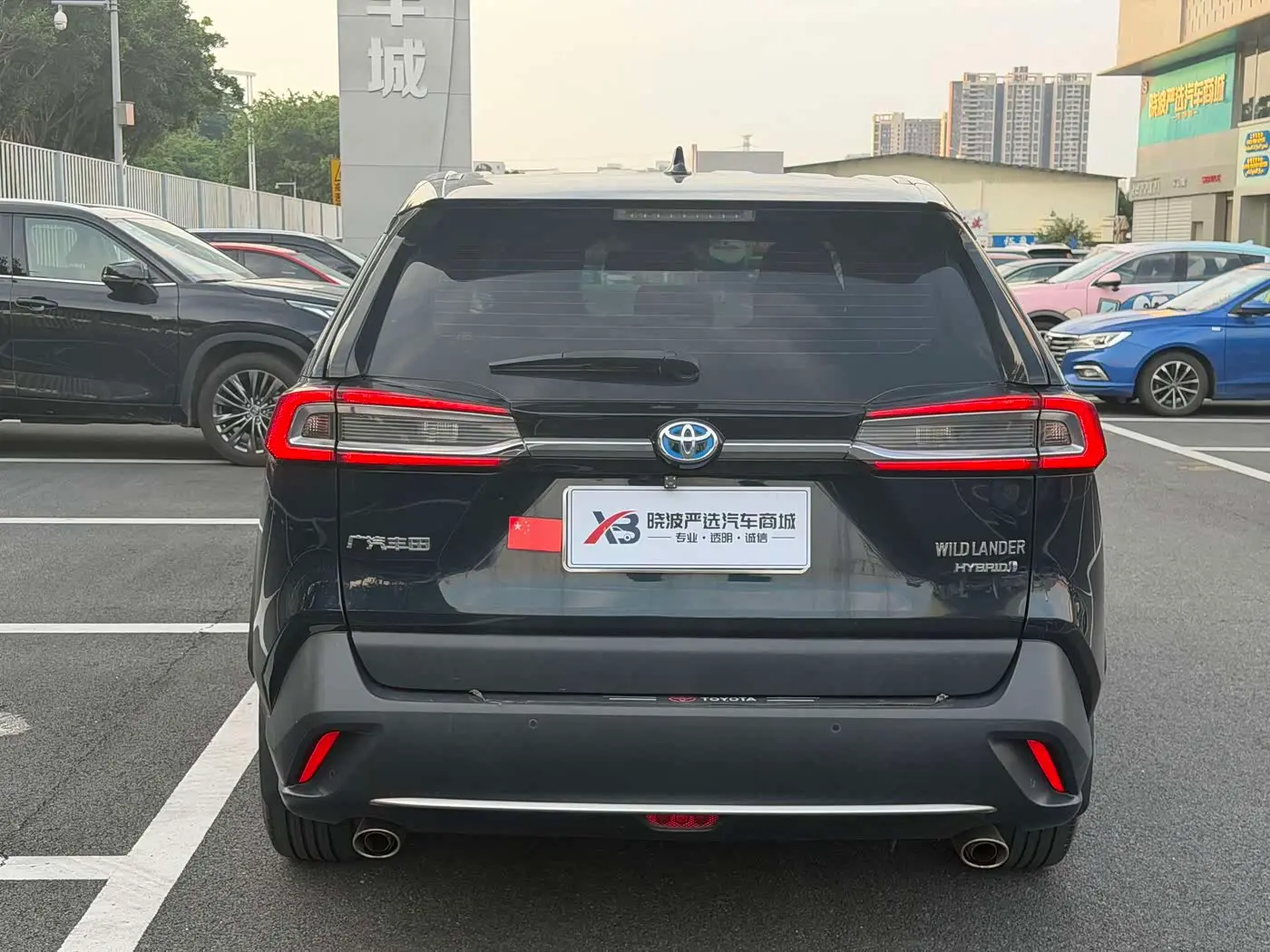 Toyota Wildlander 2022 — ფოტო 6/17