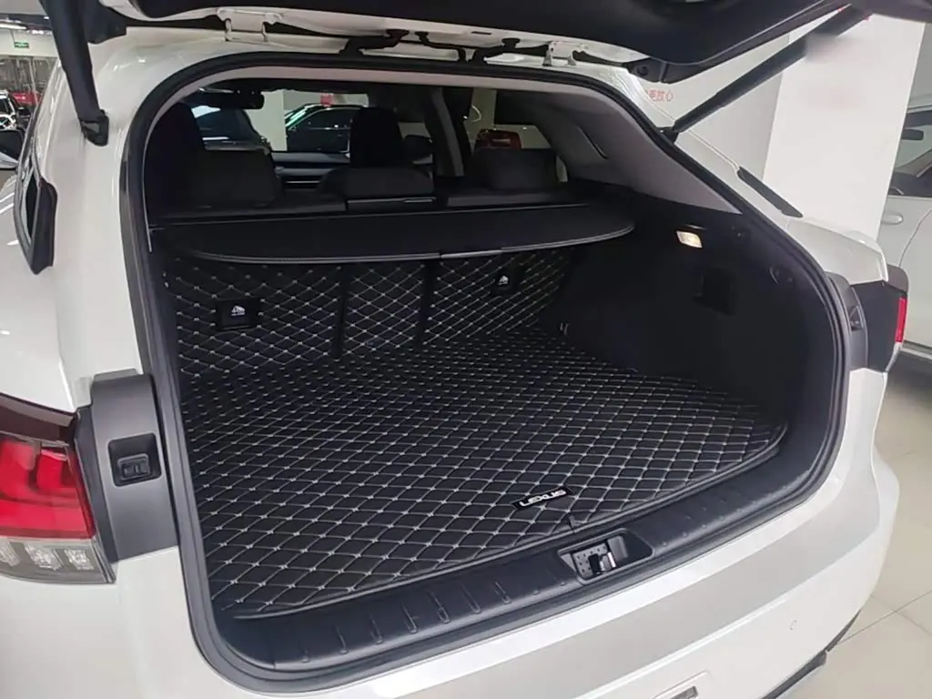 Lexus RX 2021 — Şəkil 19/20