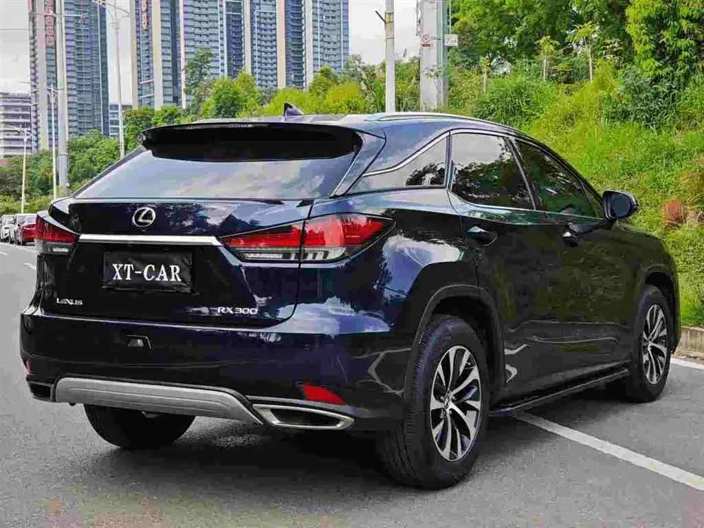 Lexus RX 2022 — Photo 7/9