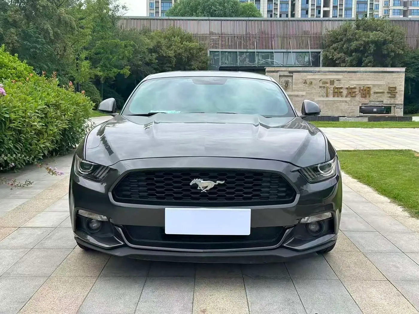 Ford Mustang 2018 — Photo 2/11
