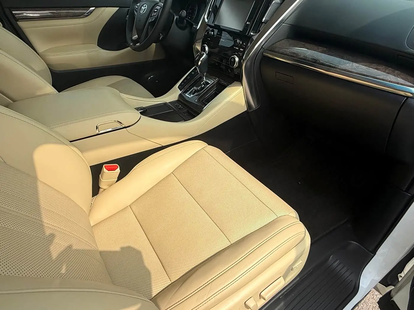 Toyota Alphard 2019 — Şəkil 11/15