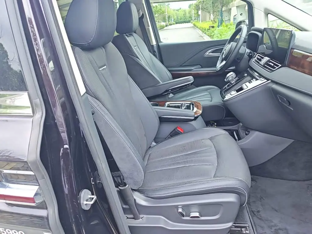 Hongqi HQ9 PHEV 2024 — Şəkil 20/20