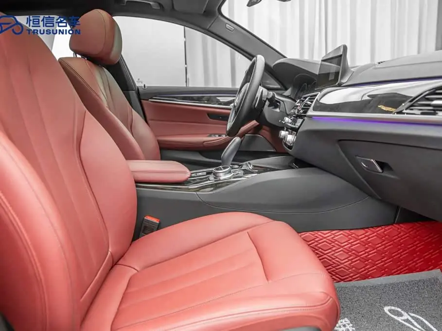 BMW 5 Series 2019 — Şəkil 14/20