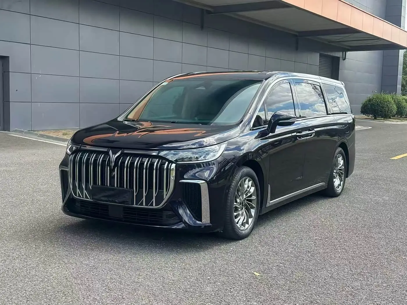 Voyah Auto Voyah Dreamer, 2024