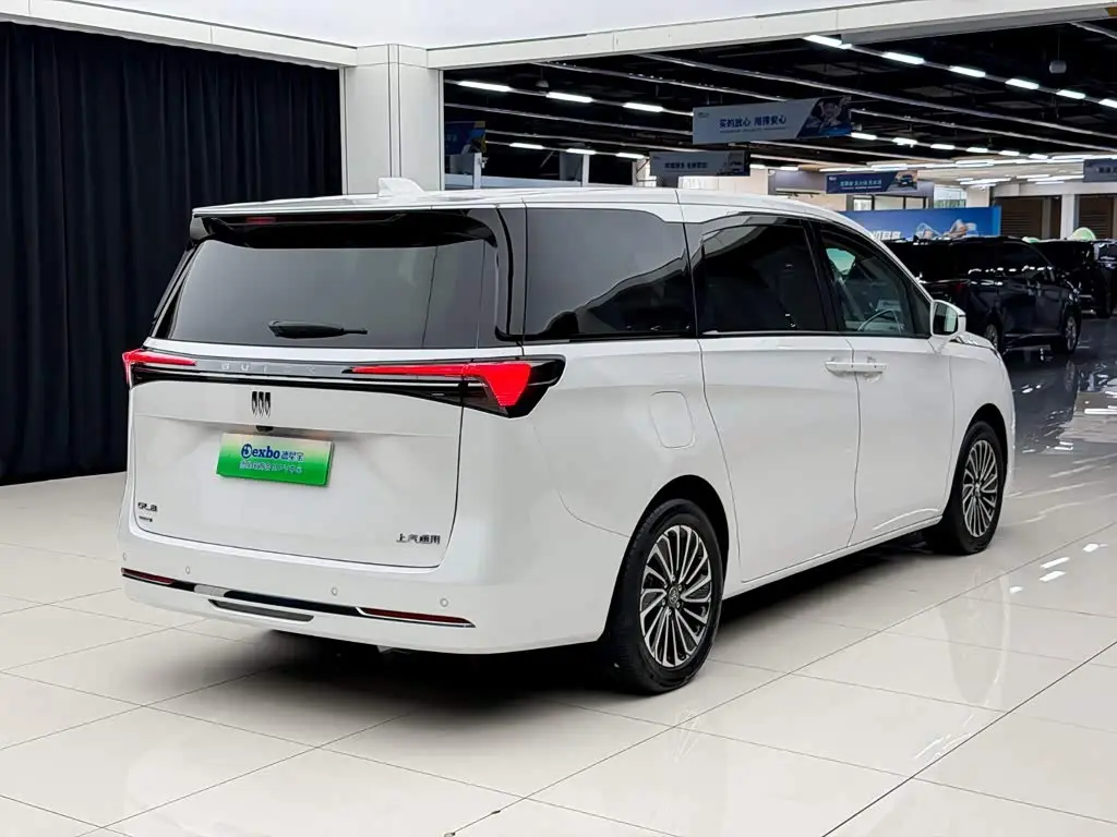 Buick GL8 New Energy 2025 — Photo 14/17