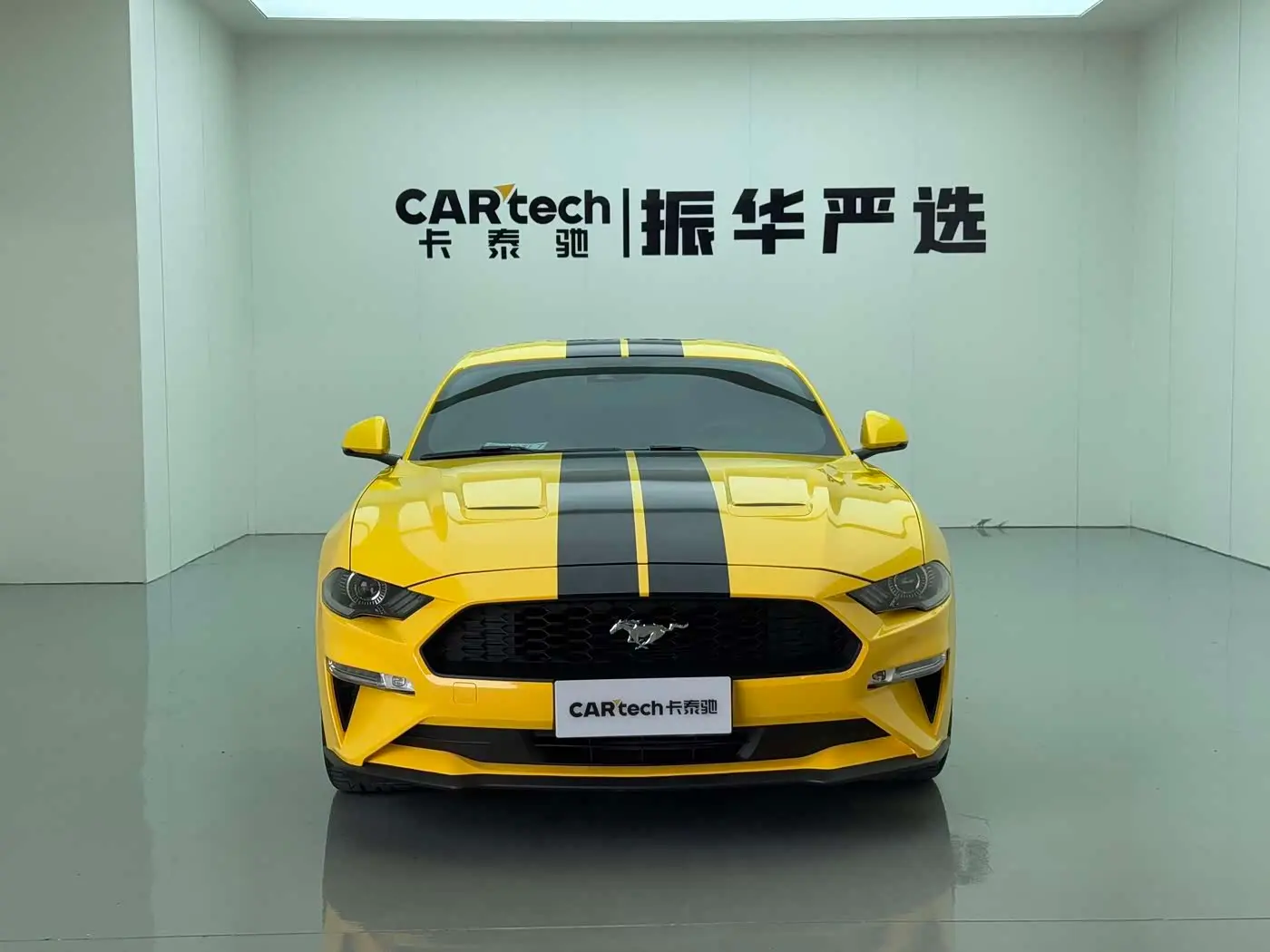 Ford Mustang 2020 — Photo 2/15