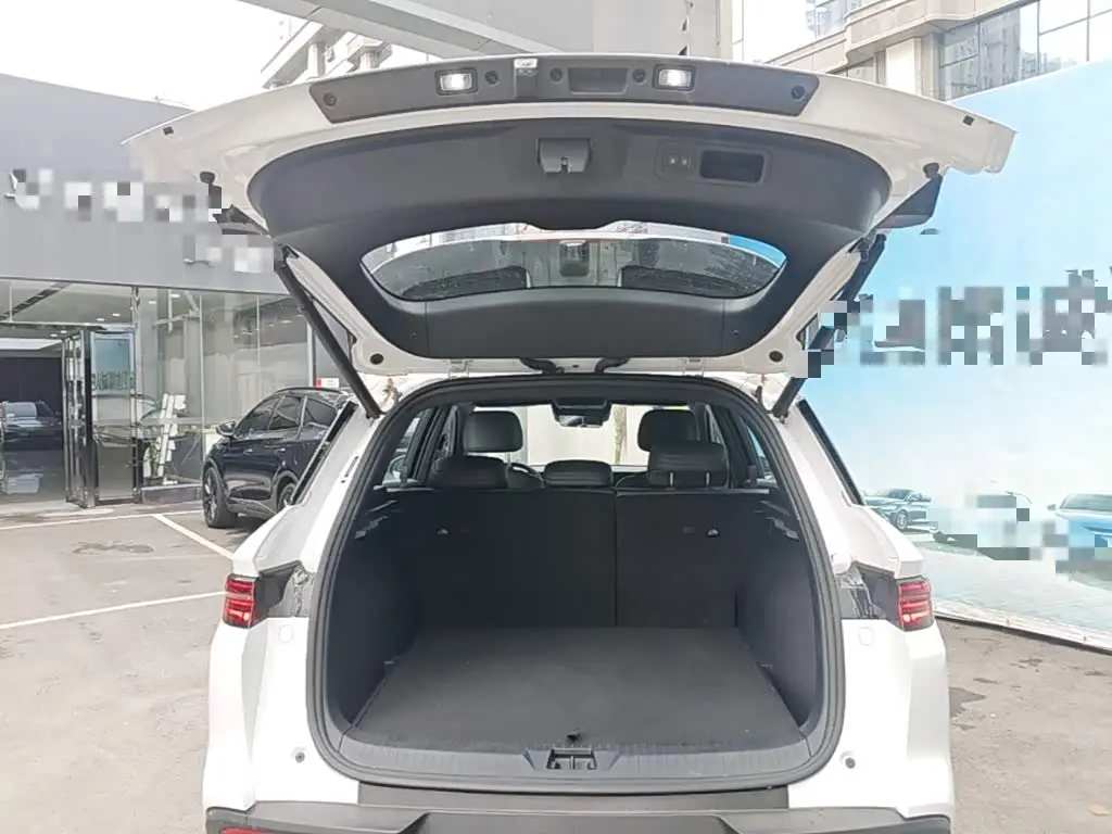 BYD Song Pro New Energy 2025 — Photo 19/20