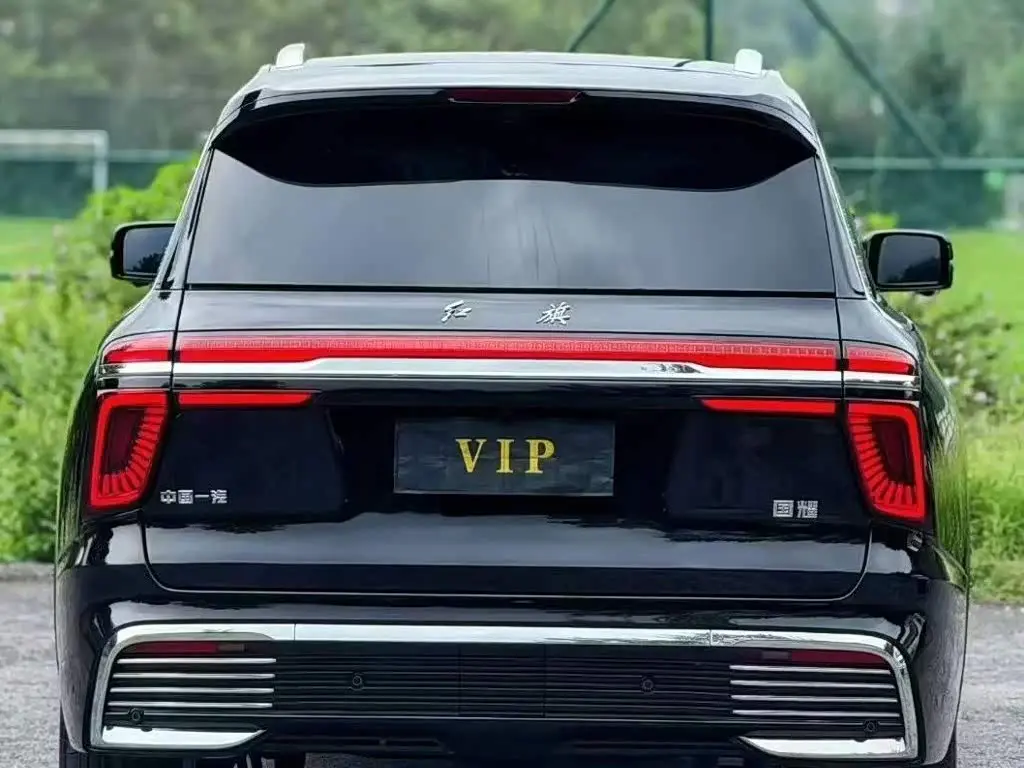 Hongqi Guoyao 2023 — Şəkil 4/9