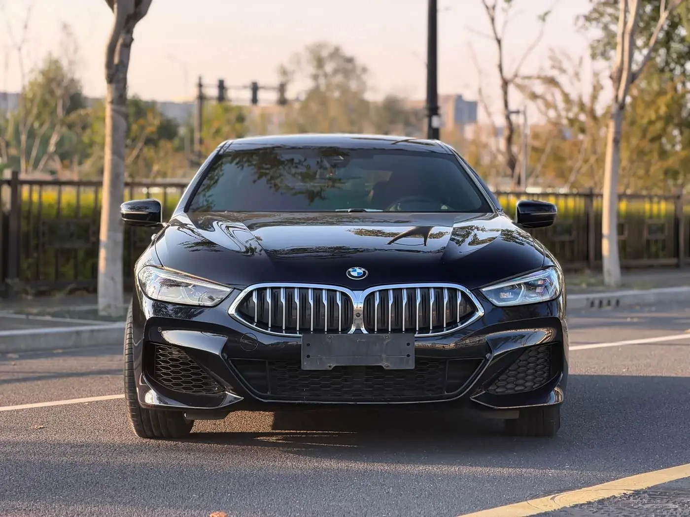 BMW 8 Series 2021 — Photo 2/20