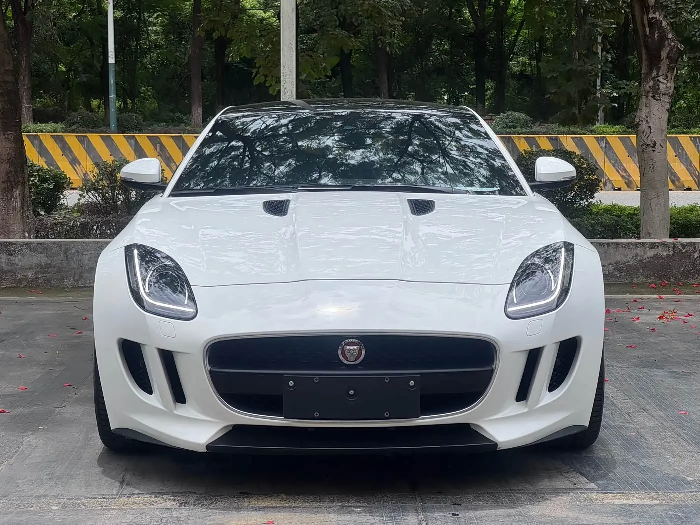 Jaguar F-TYPE 2016 — Фото 2/10