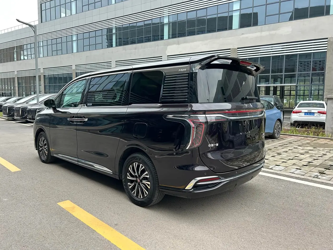Hongqi HQ9 PHEV 2024 — Фото 16/16