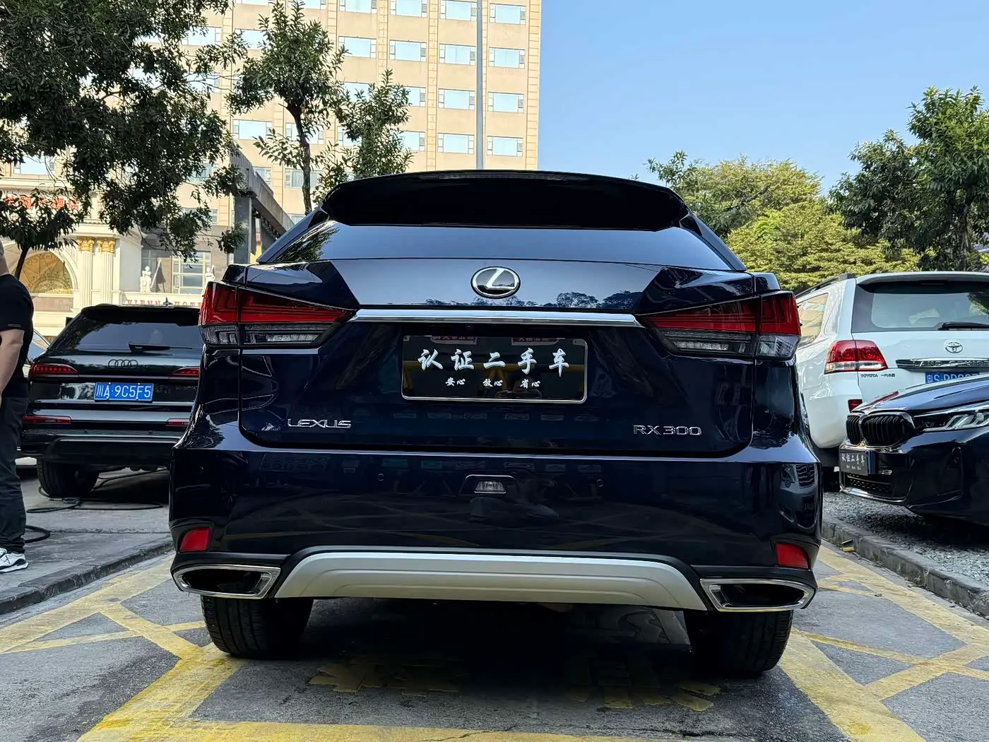 Lexus RX 2022 — ფოტო 6/19