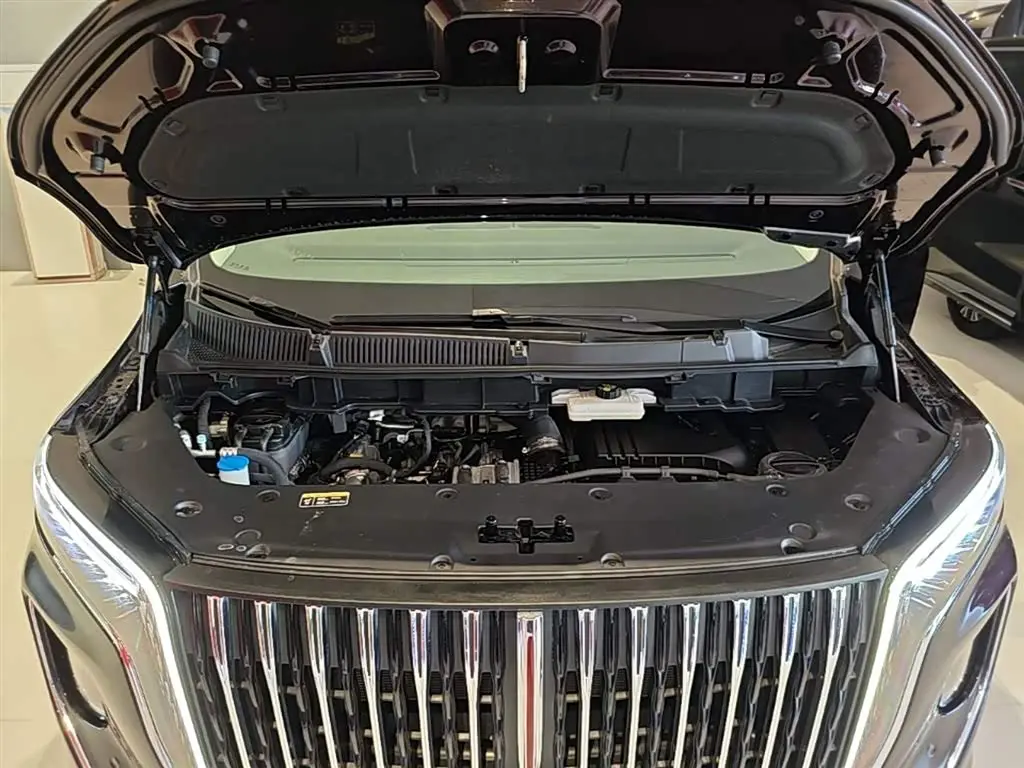 Hongqi HQ9 PHEV 2024 — Şəkil 20/20