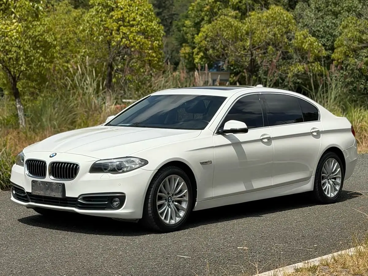BMW 5 Series 2015 — Фото 1/20