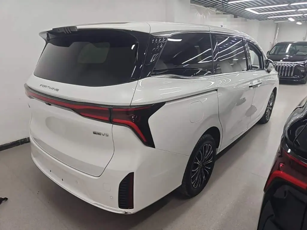Dongfeng Fengxing Starlight V9 2025 — Фото 7/20