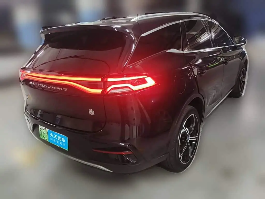 BYD Tang New Energy 2022 — Фото 2/12