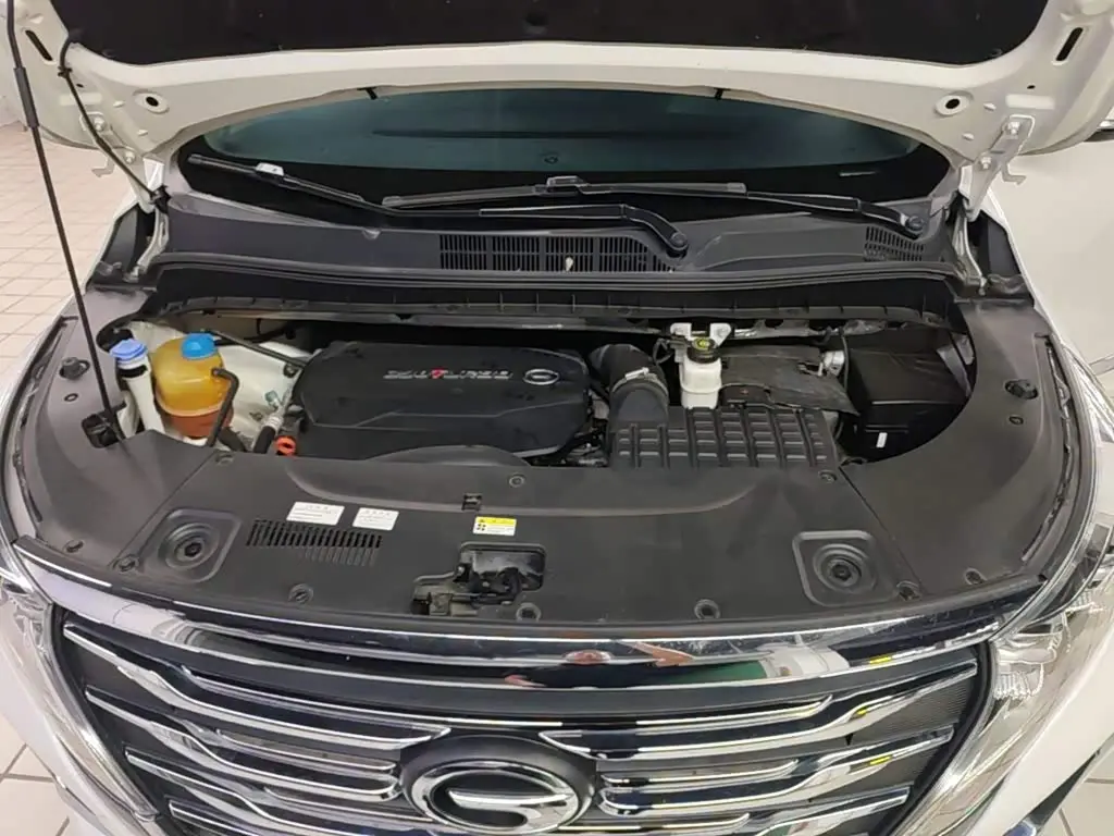 GAC Trumpchi Trumpchi M8 2020 — Фото 19/19