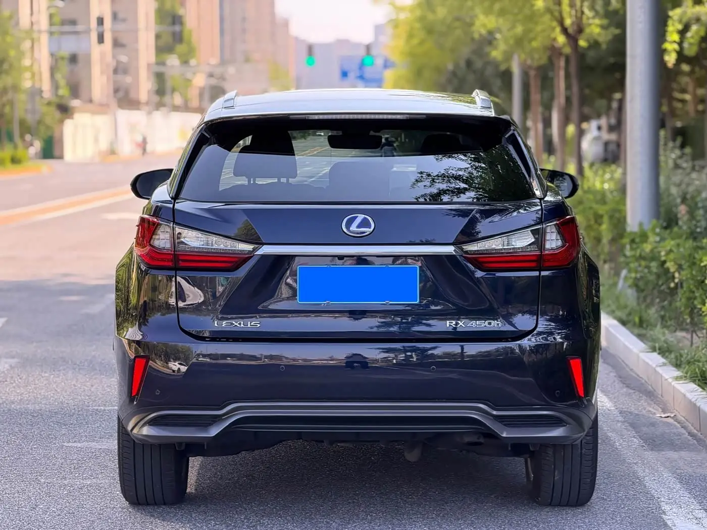 Lexus RX 2017 — Photo 5/20