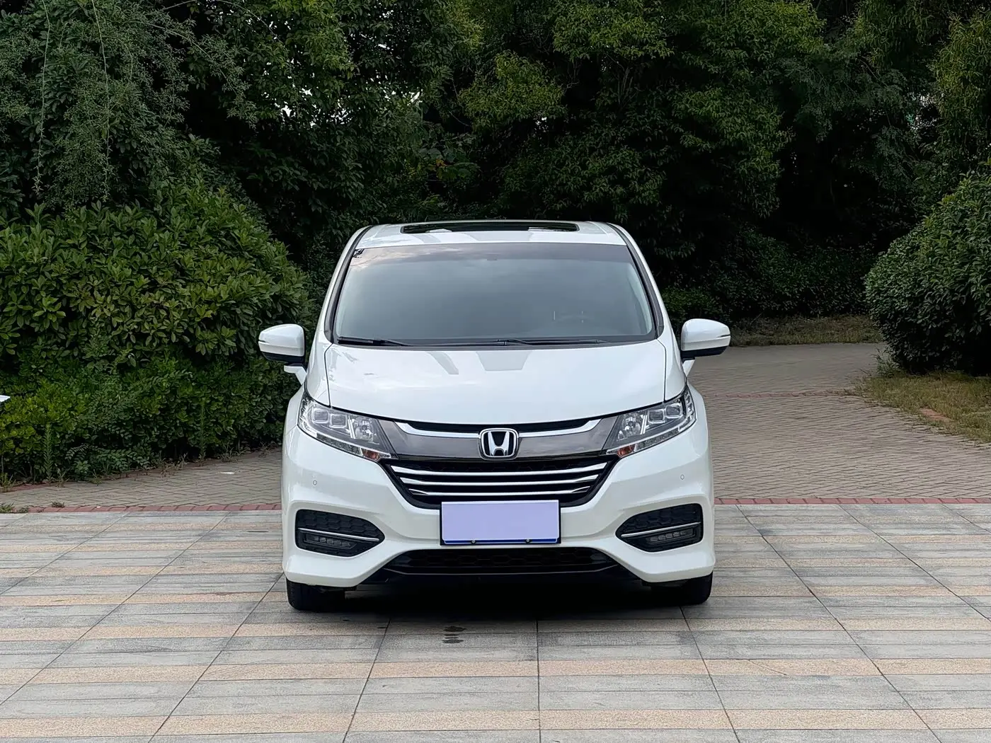 Honda Odyssey 2019 — Фото 2/12