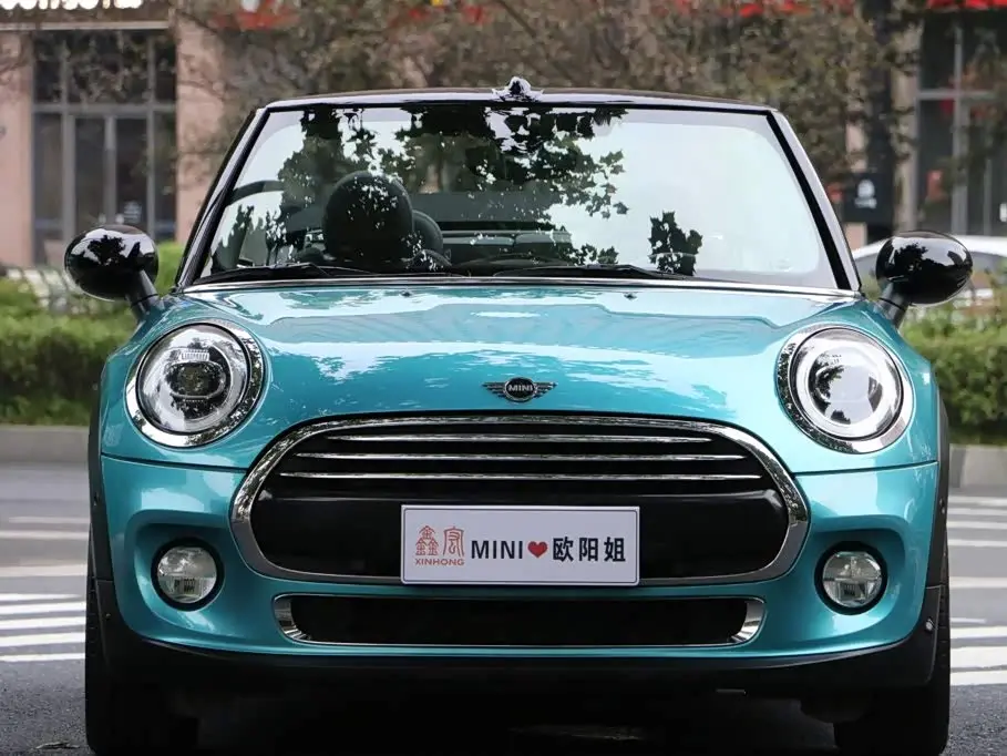 MINI MINI 2019 — Photo 2/20