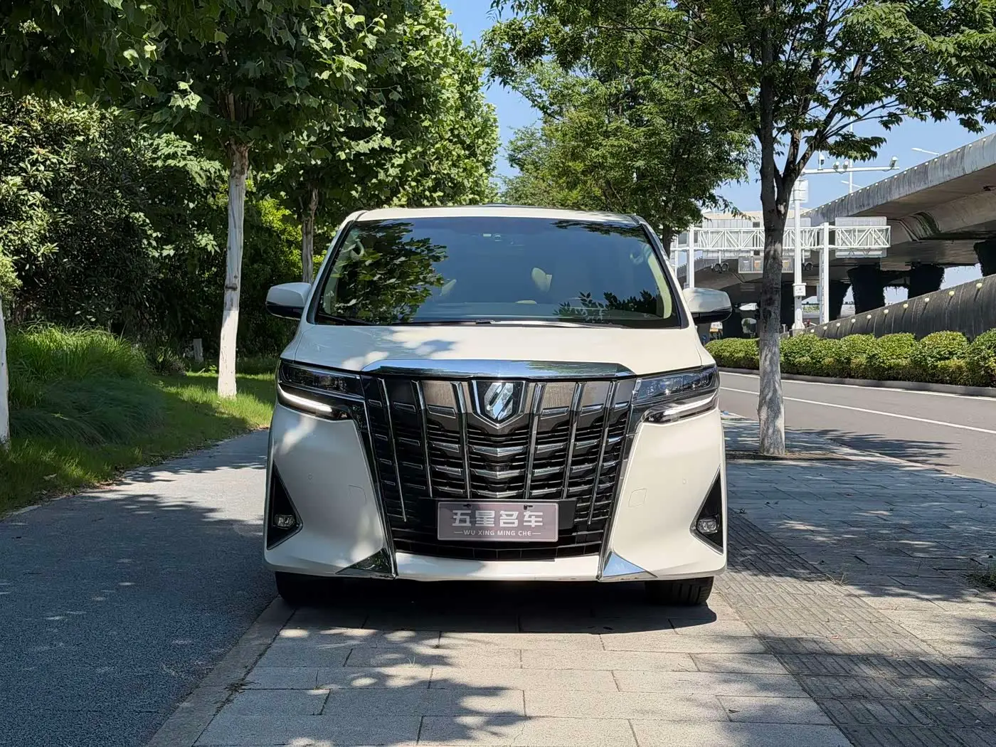 Toyota Alphard 2019 — Фото 2/8