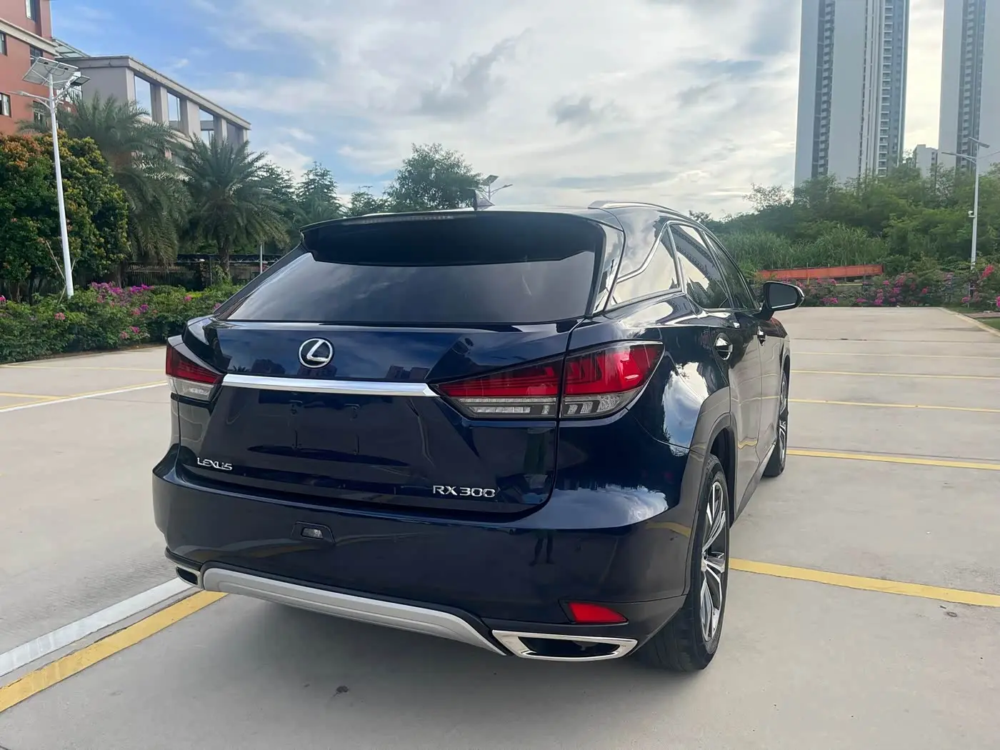 Lexus RX 2020 — Şəkil 5/9
