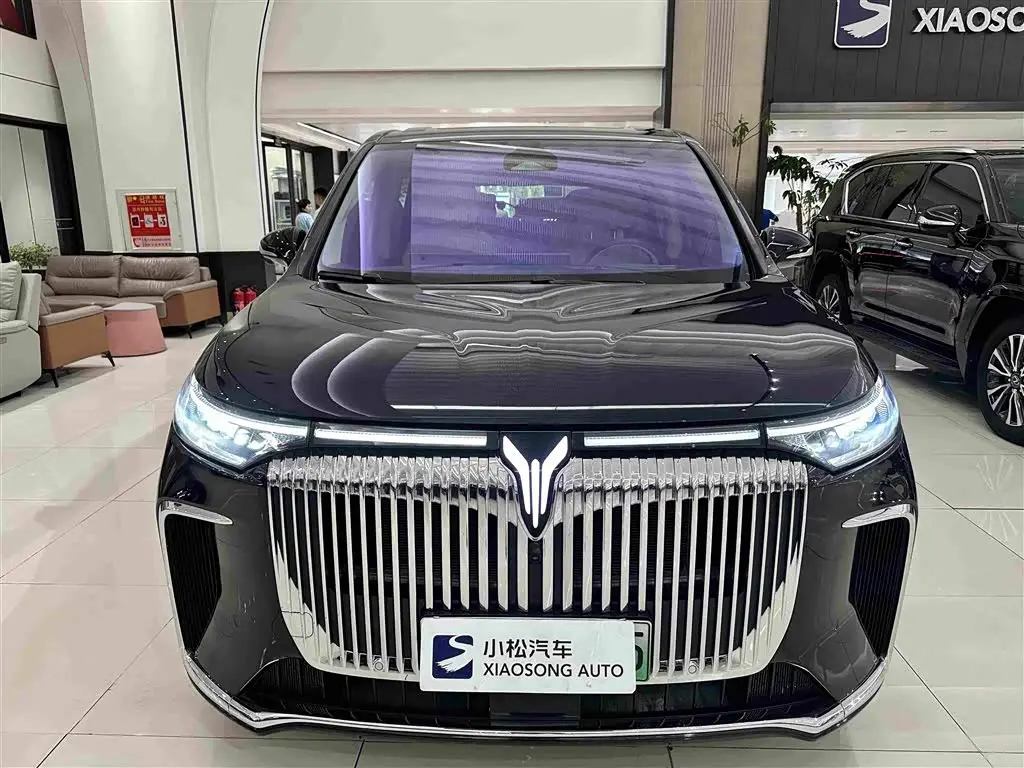 Voyah Auto Voyah Dreamer 2024 — Photo 2/19