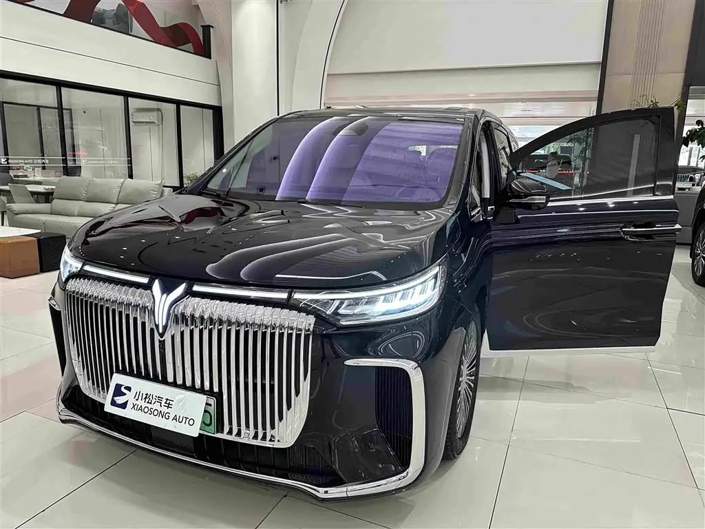 Voyah Auto Voyah Dreamer 2024 — Photo 6/19