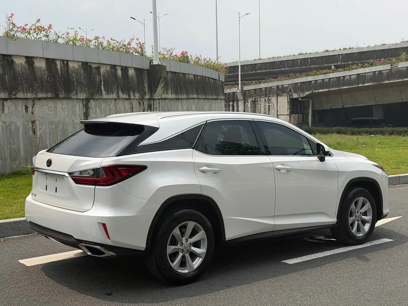 Lexus RX 2017 — Фото 15/17