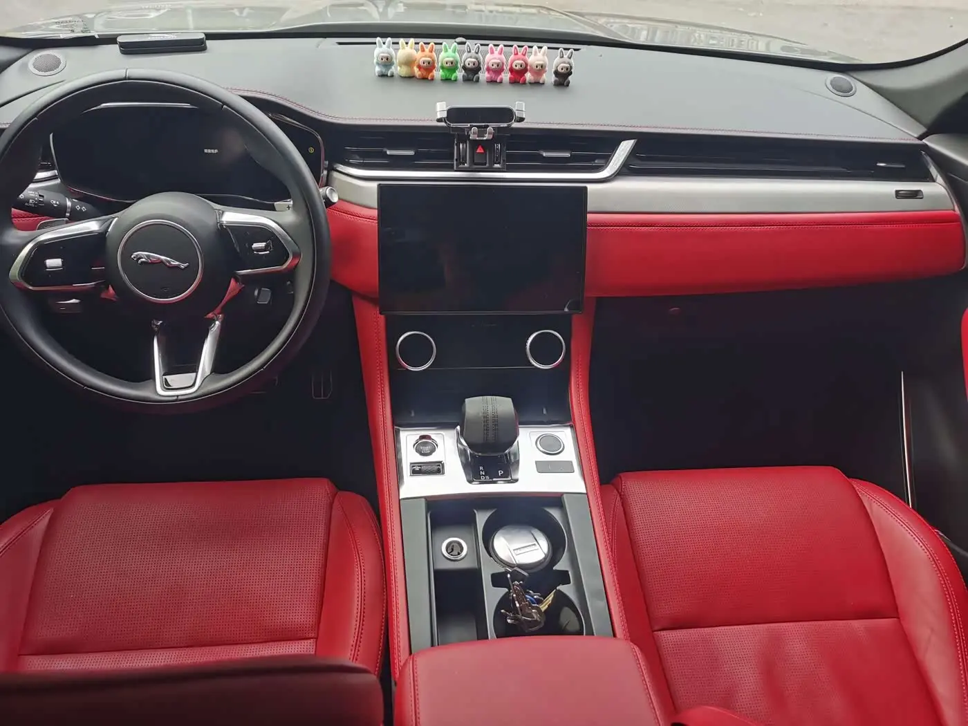 Jaguar F-PACE 2024 — Photo 10/20