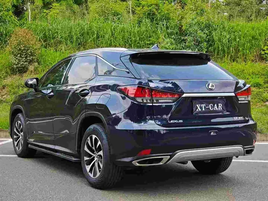 Lexus RX 2022 — Photo 9/9