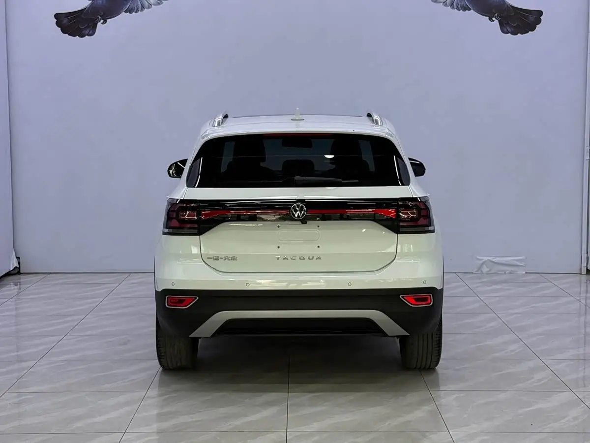 Volkswagen Tanying 2023 — Photo 5/20