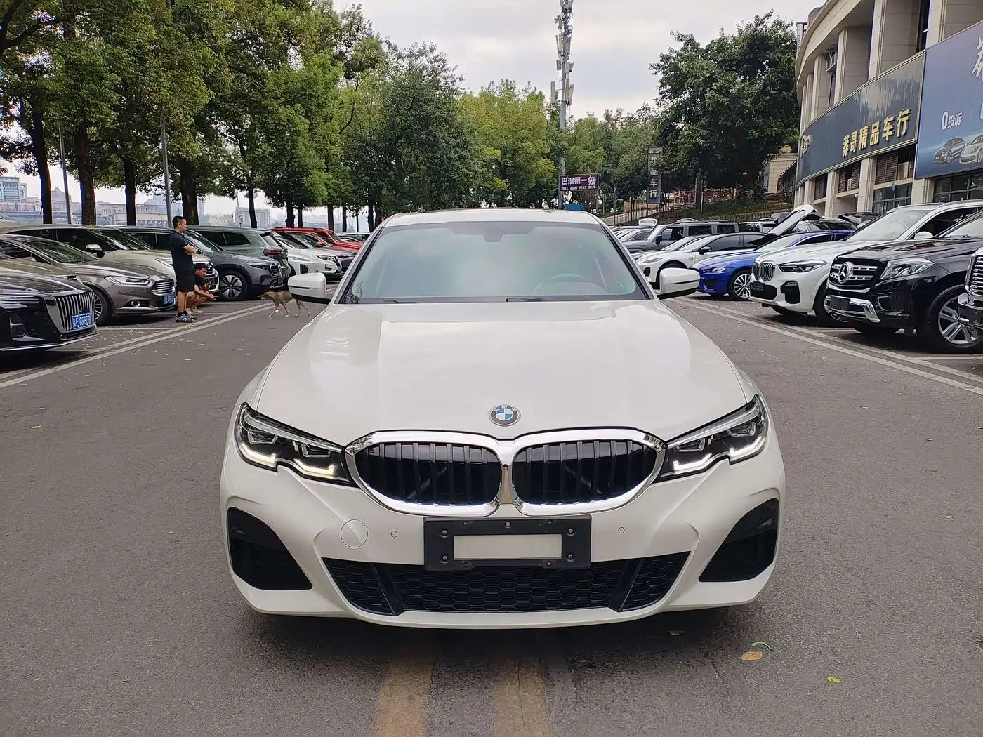 BMW 3 Series 2021 — Photo 2/9
