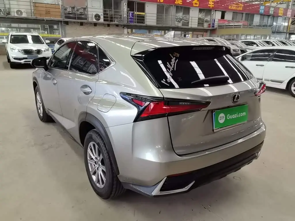 Lexus NX 2017 — Photo 5/20