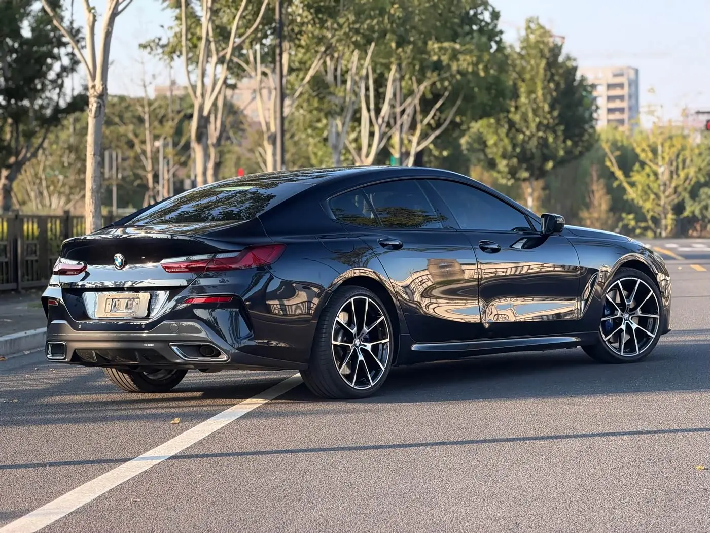 BMW 8 Series 2021 — Photo 5/20