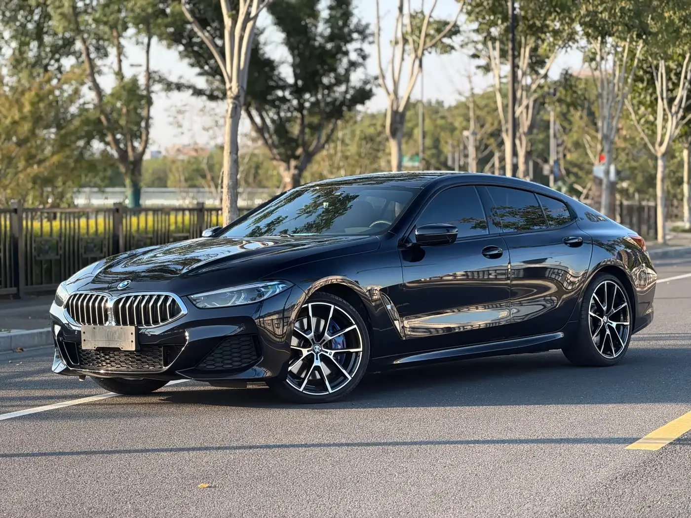BMW 8 Series, 2021