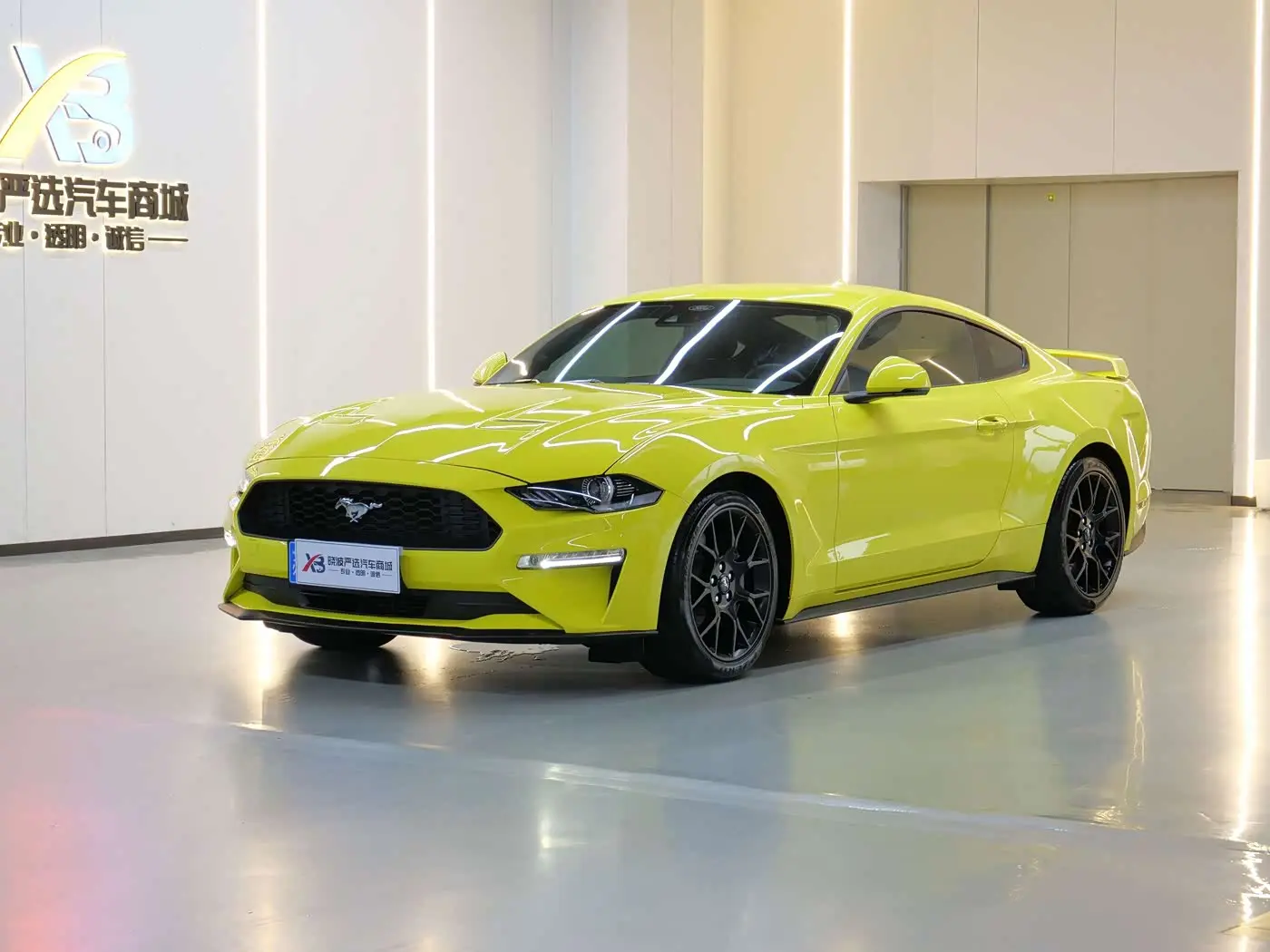 Ford Mustang 2022 — Фото 1/17