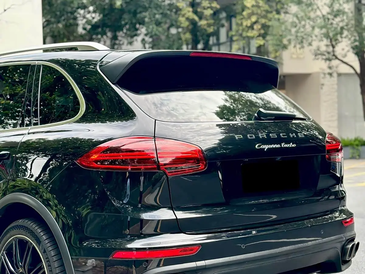 Porsche Cayenne 2015 — ფოტო 14/20