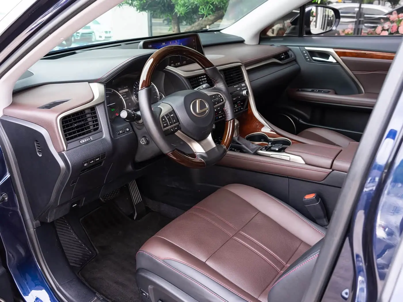 Lexus RX 2016 — Photo 9/20