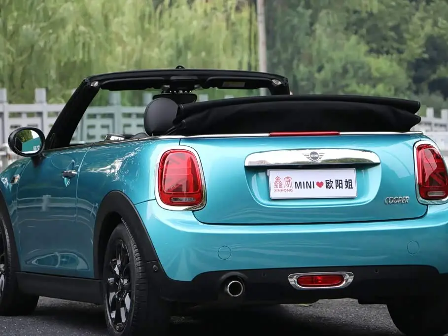MINI MINI 2019 — Photo 6/20
