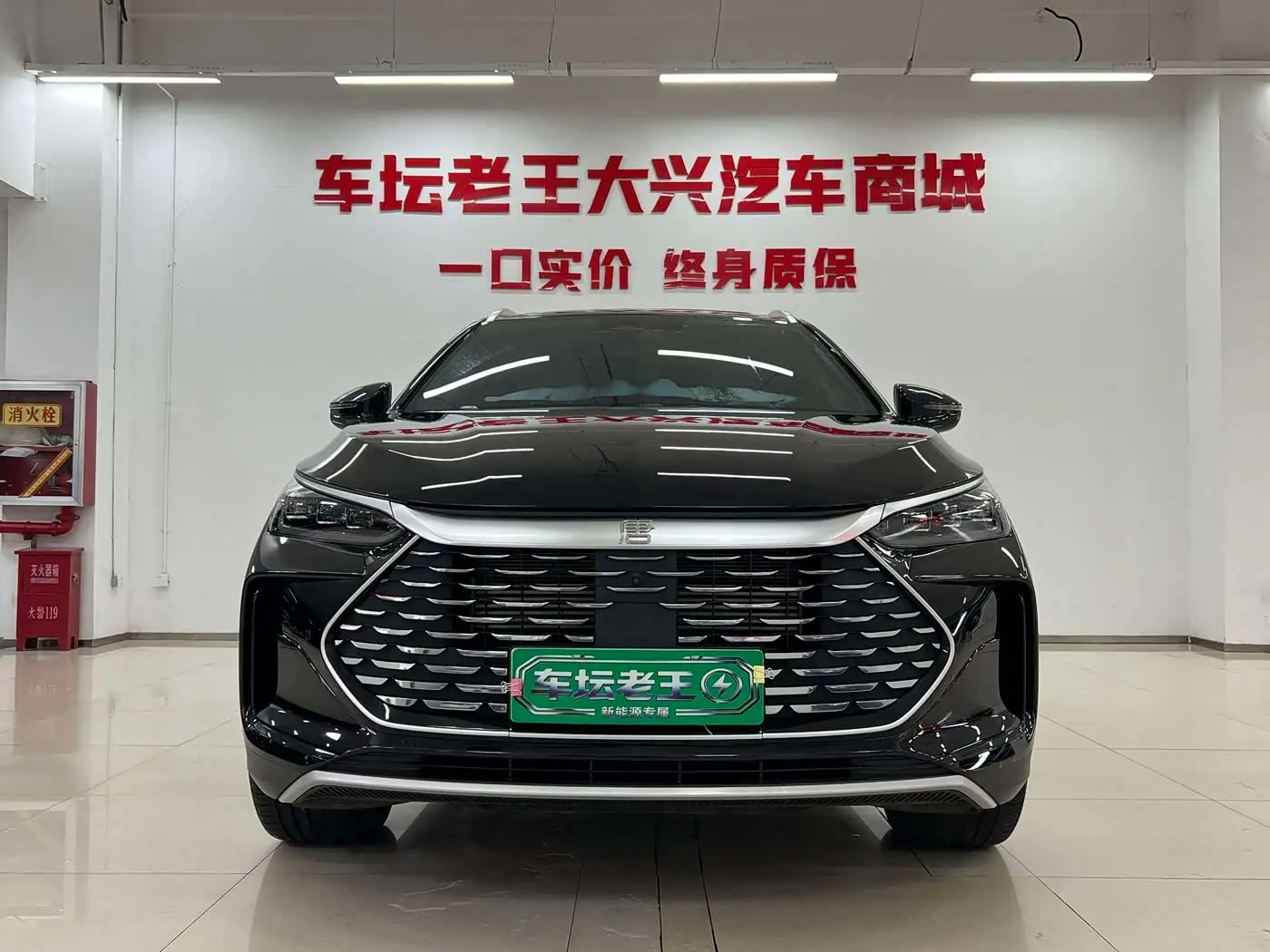 BYD Tang New Energy 2024 — Фото 2/18