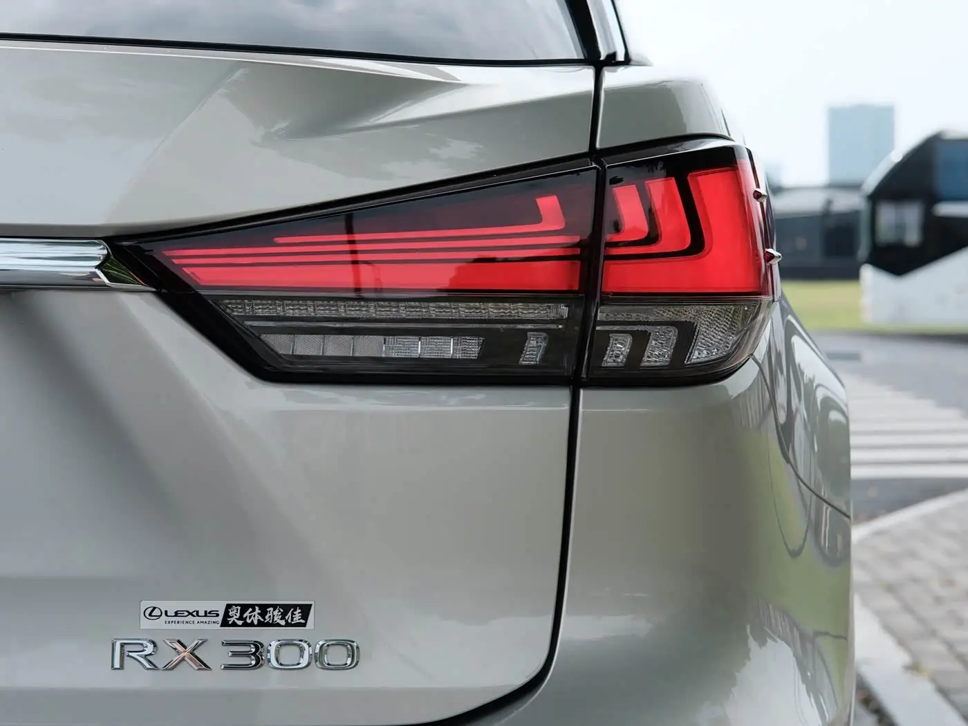 Lexus RX 2020 — Фото 17/19