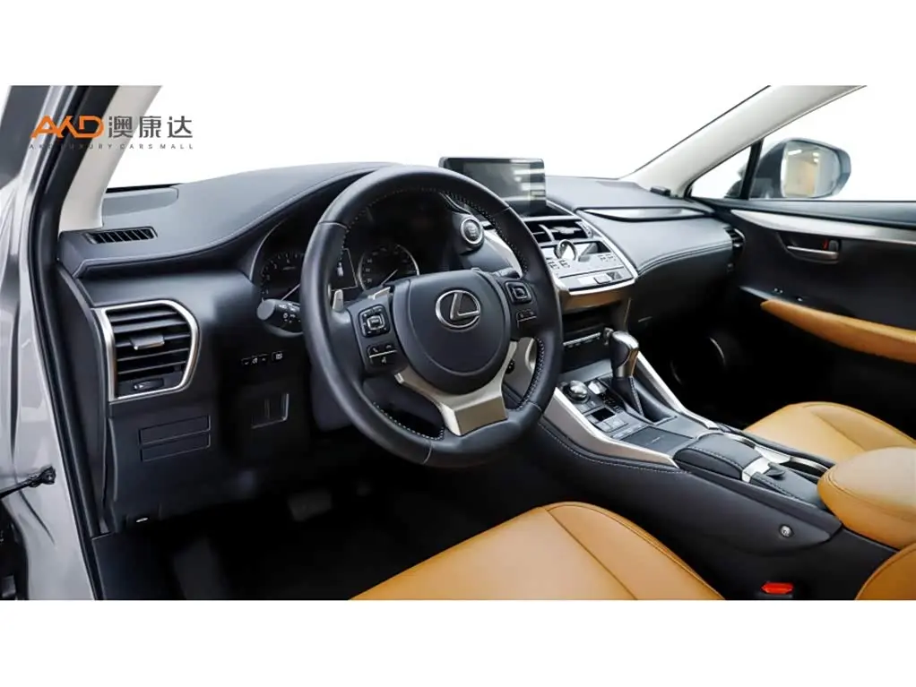 Lexus NX 2020 — Фото 6/10