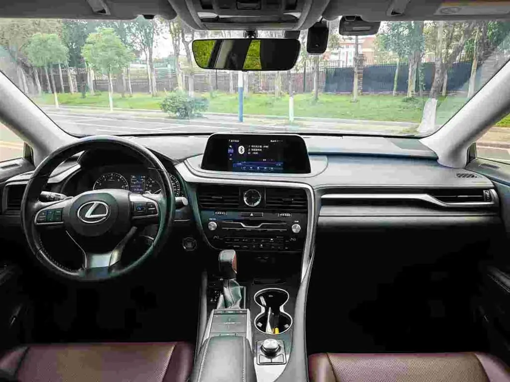 Lexus RX 2022 — Photo 6/9