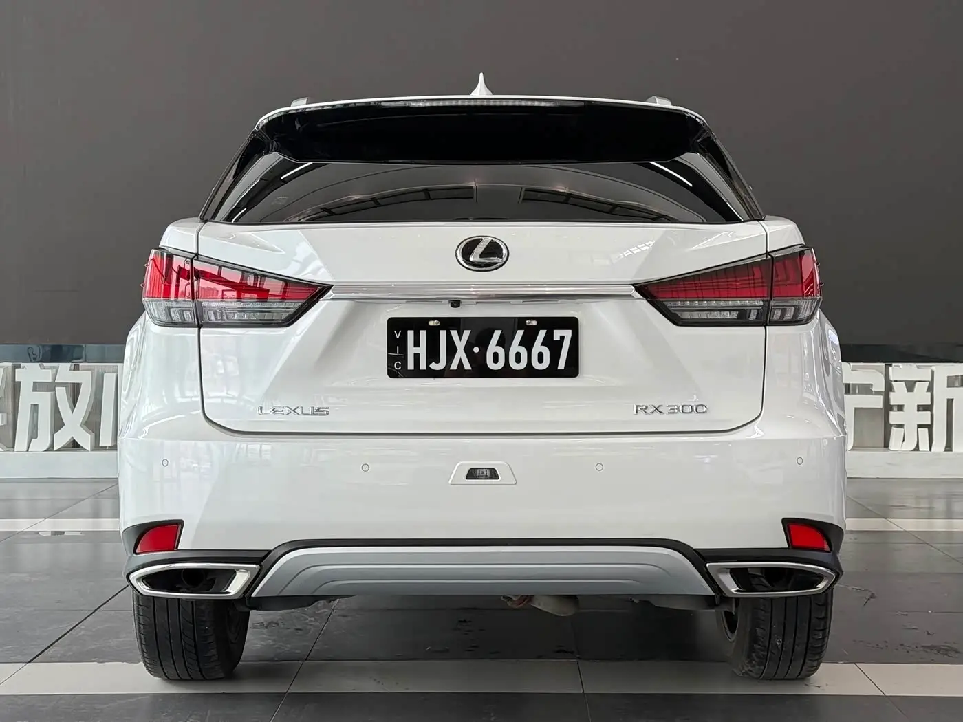 Lexus RX 2021 — Фото 6/17