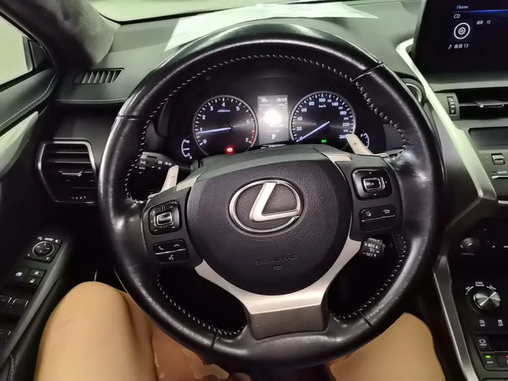 Lexus NX 2017 — Photo 11/20