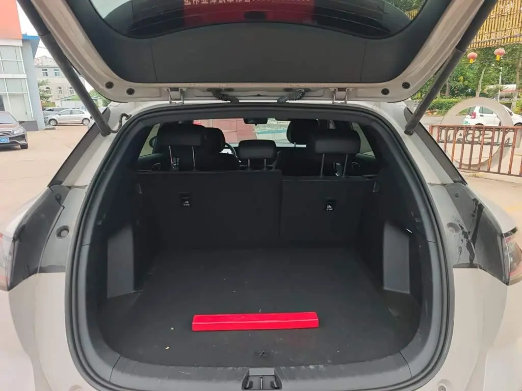 BYD Sealion 06 New Energy 2025 — Фото 15/19