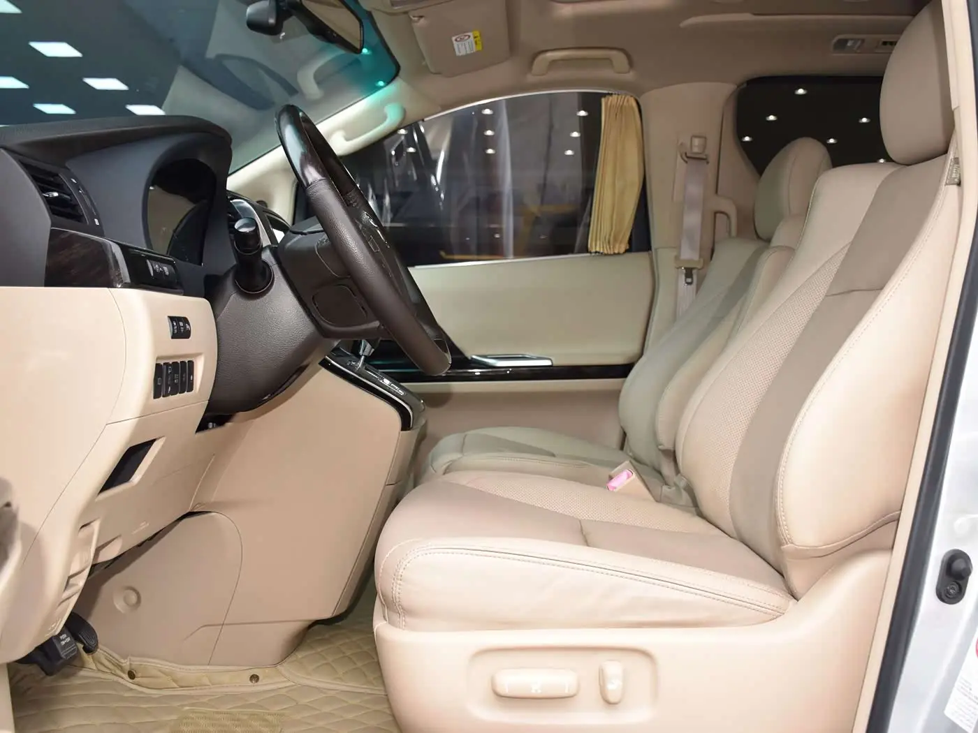 Toyota Alphard 2013 — Şəkil 10/20